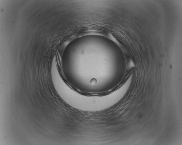 X0000067881298200604201233