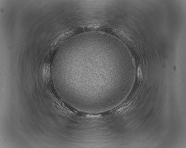X0000067881299200604201233