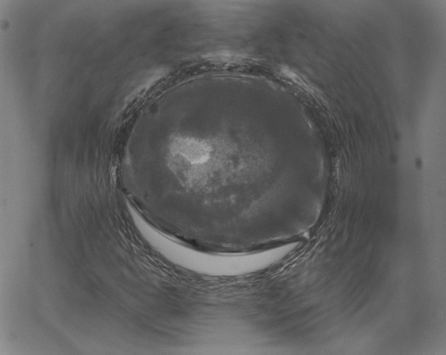 X0000067881302200604201233