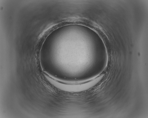 X0000067881304200604201233