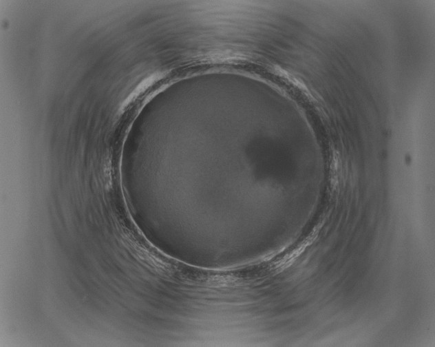 X0000067881306200604201233