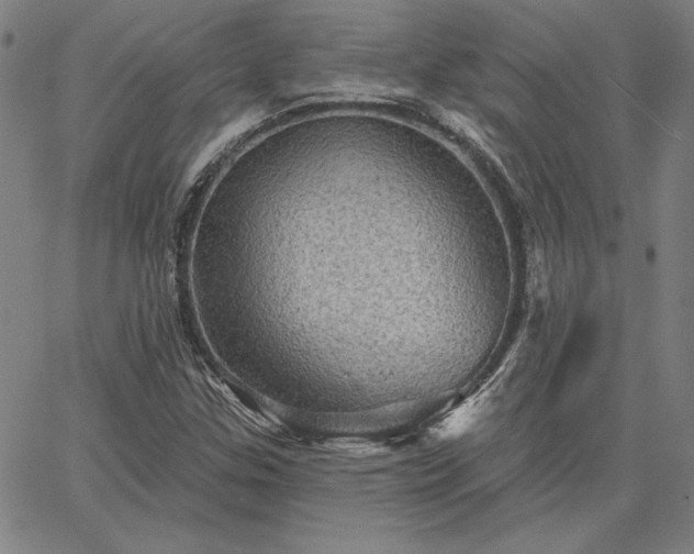 X0000067881307200604201233