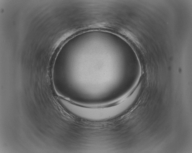 X0000067881308200604201233