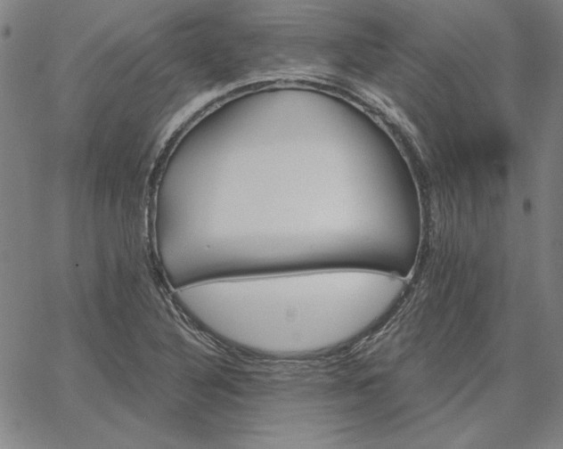 X0000067881316200604201233