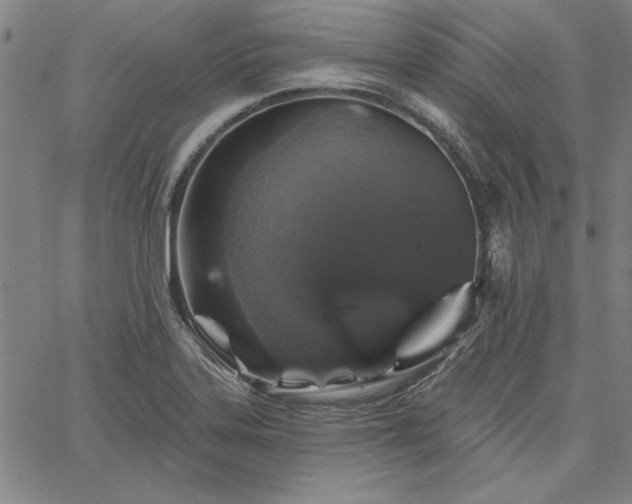 X0000067881323200604201233