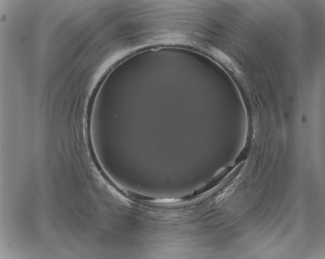 X0000067881334200604201233