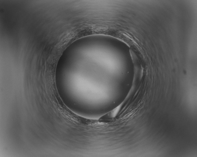 X0000067881345200604201233