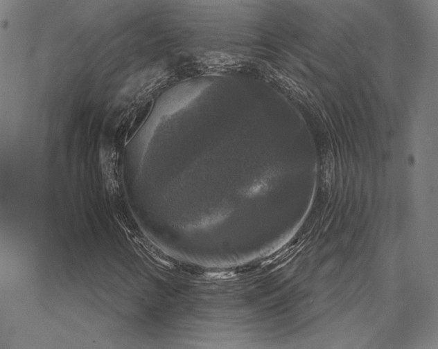 X0000067881346200604201233