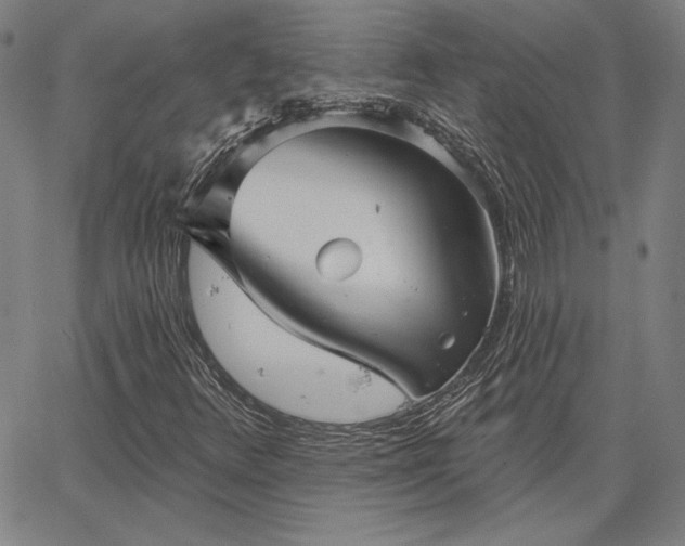 X0000067881348200604201233