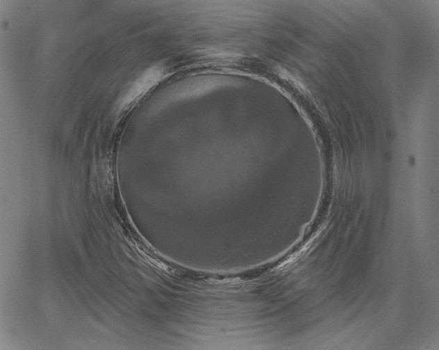 X0000067881354200604201233