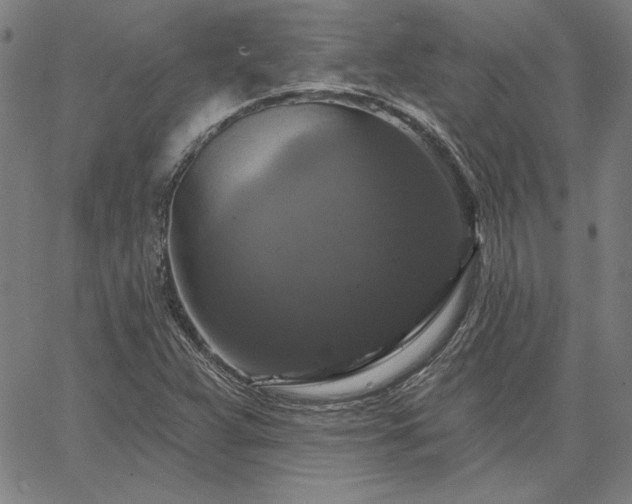 X0000067881359200604201233