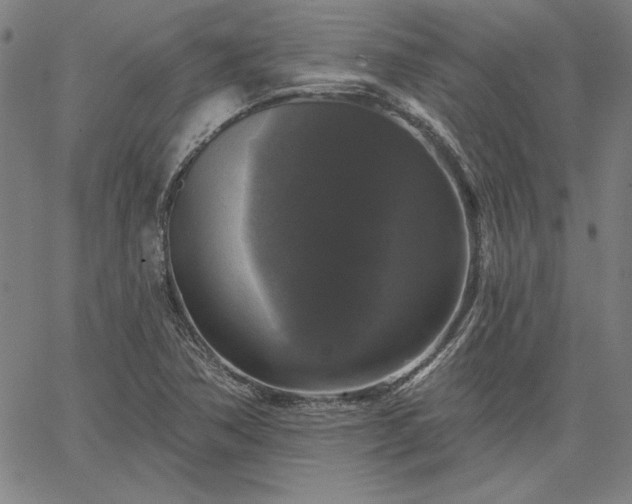 X0000067881362200604201233
