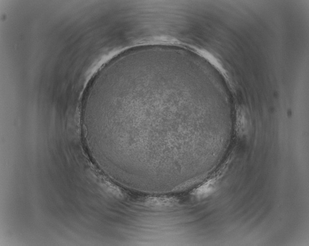 X0000067881364200604201233