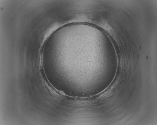 X0000067881366200604201233