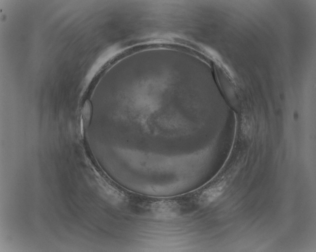 X0000067881368200604201232