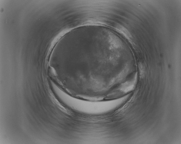 X0000067881371200604201232