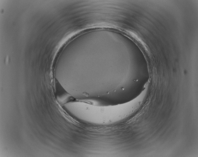 X0000067881372200604201232