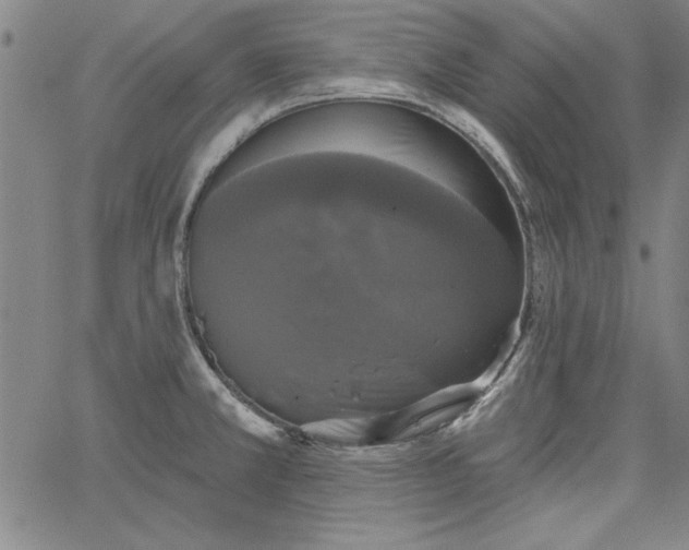 X0000067881381200604201232