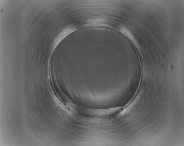 X0000067881386200604201232