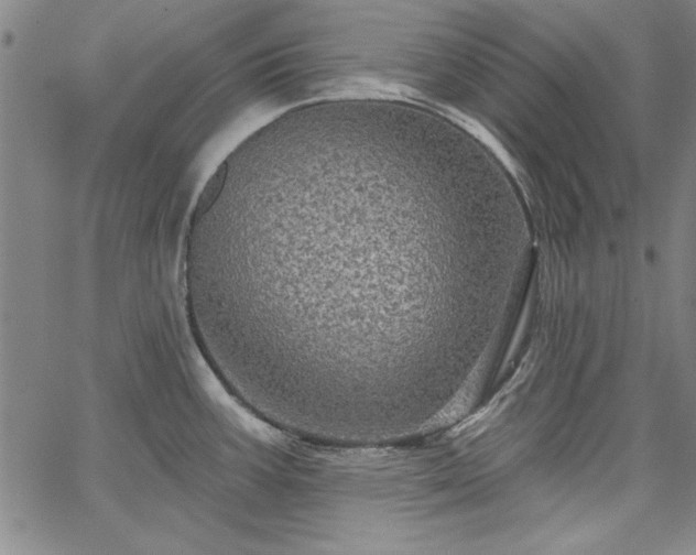 X0000067881387200604201232