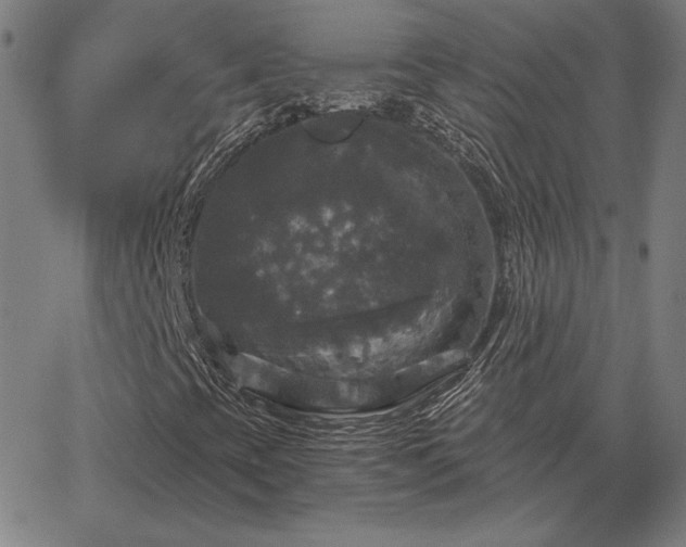 X0000067881393200604201231