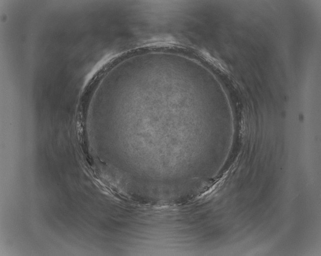 X0000067881400200604201231