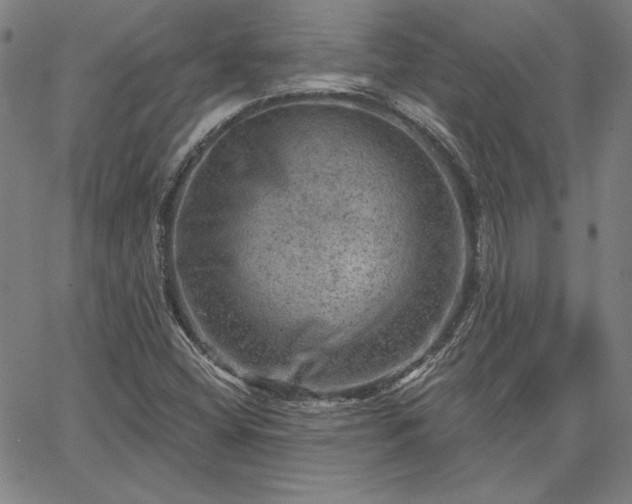X0000067881404200604201231