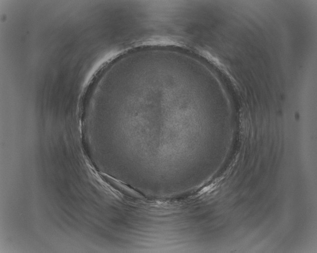 X0000067881408200604201232