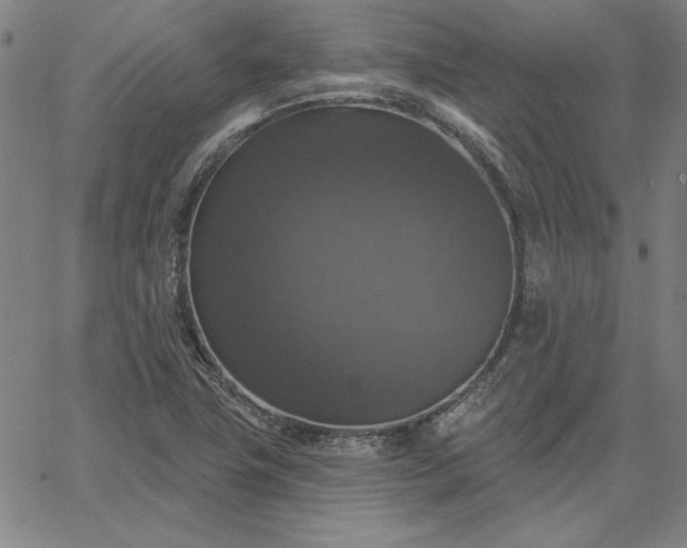 X0000067881411200604201232