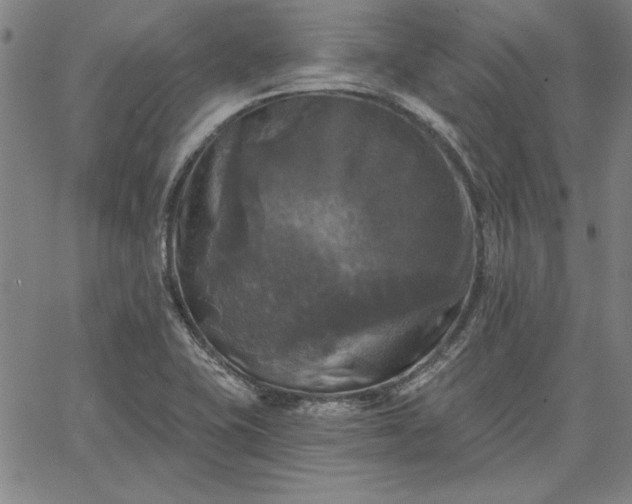 X0000067881415200604201232