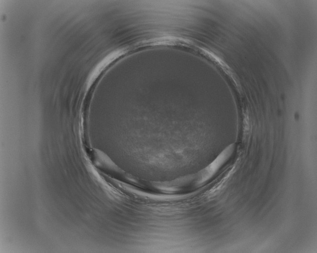 X0000067881418200604201232