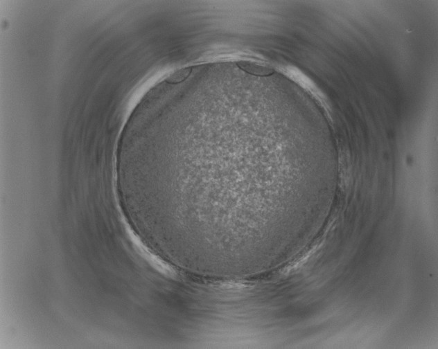 X0000067881431200604201232