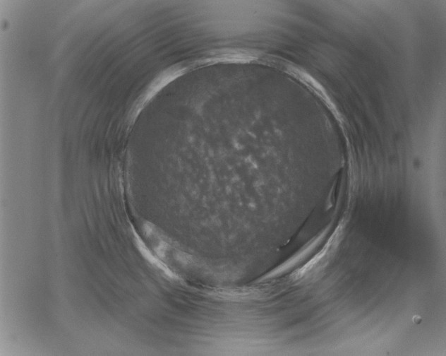 X0000067881433200604201232