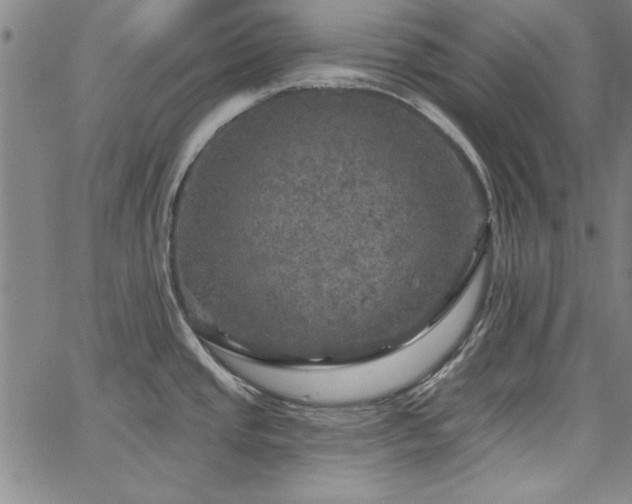 X0000067881437200604201232