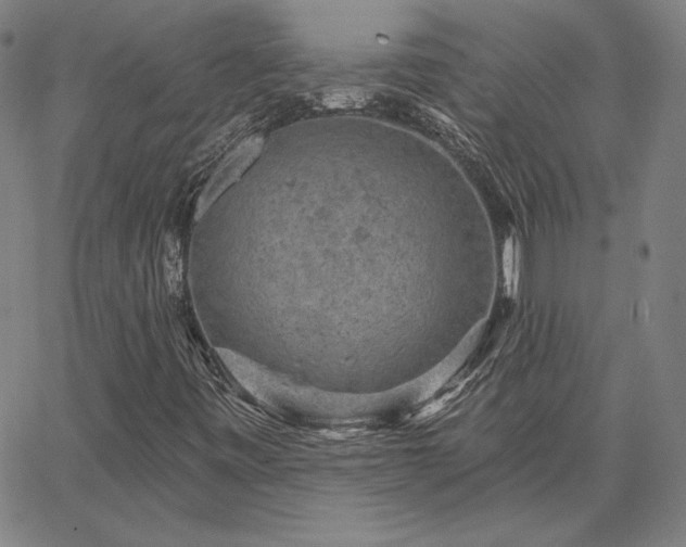 X0000067881443200604201231