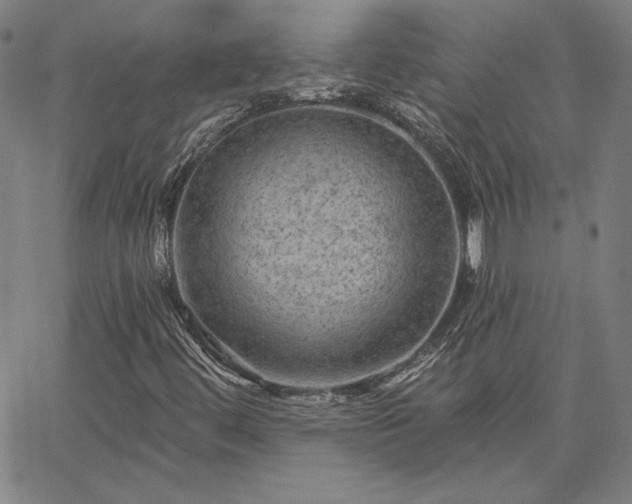 X0000067881444200604201231