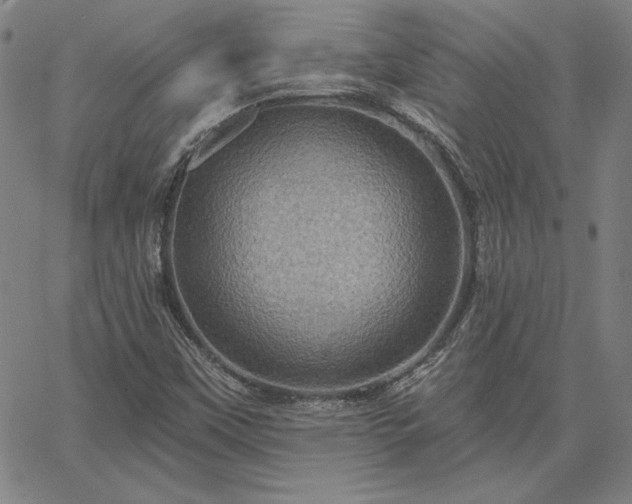 X0000067881451200604201231
