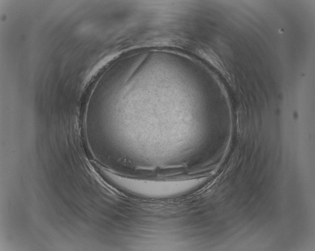 X0000067881452200604201231