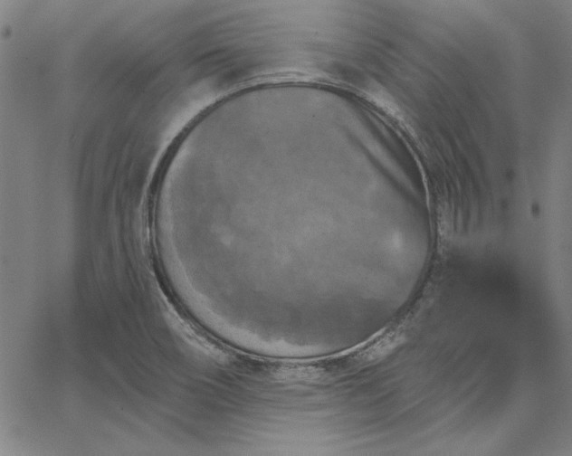 X0000067881466200604201231