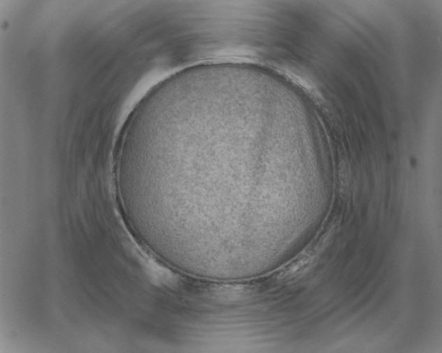 X0000067881470200604201231