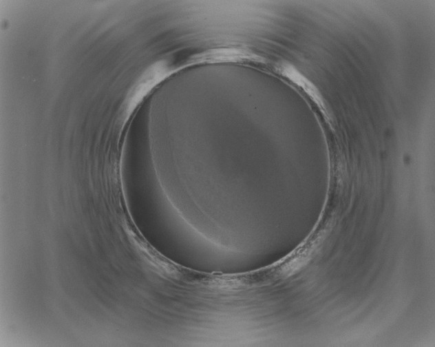 X0000067881473200604201231