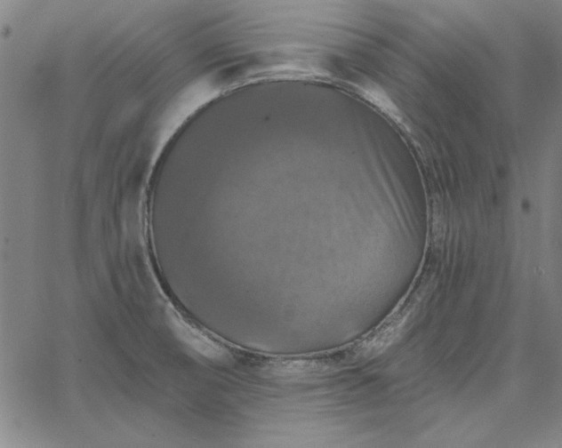 X0000067881474200604201231