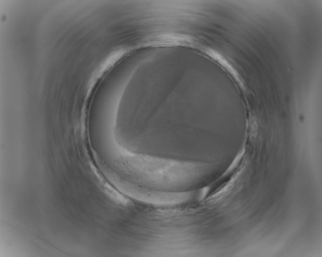 X0000067881477200604201231