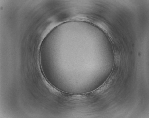 X0000067881478200604201231