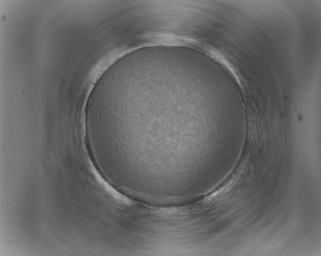 X0000067881479200604201231