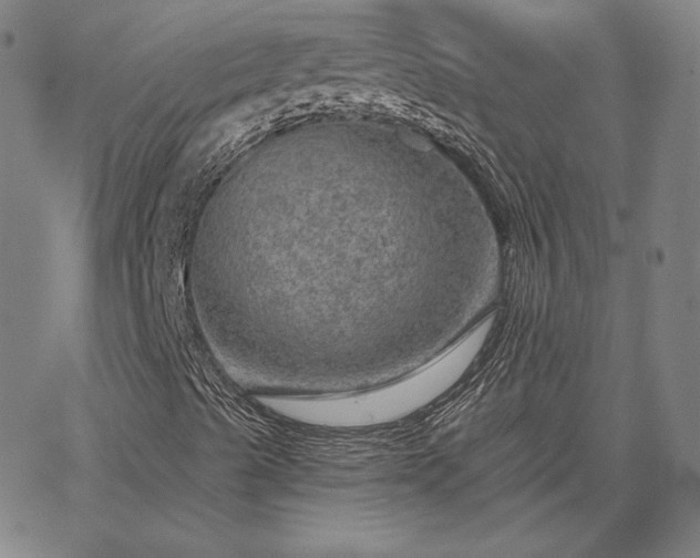 X0000067881489200604201230