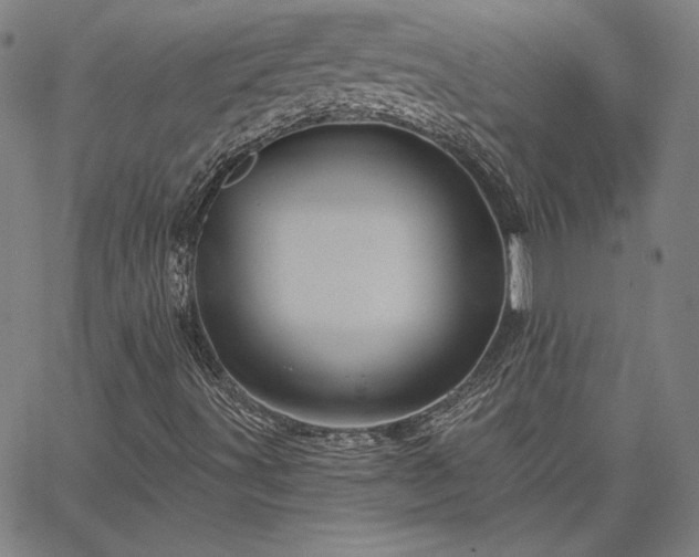 X0000067881491200604201230