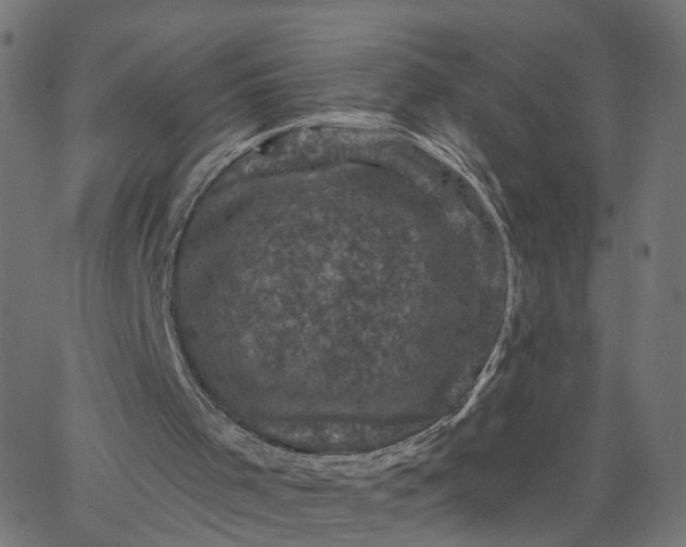 X0000067880001200604271813