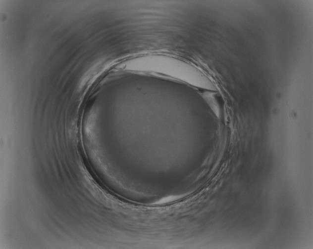 X0000067880002200604271813