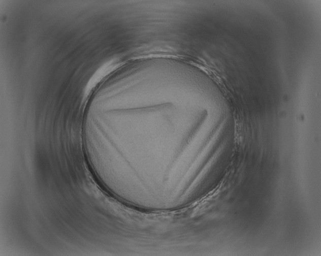X0000067880004200604271813
